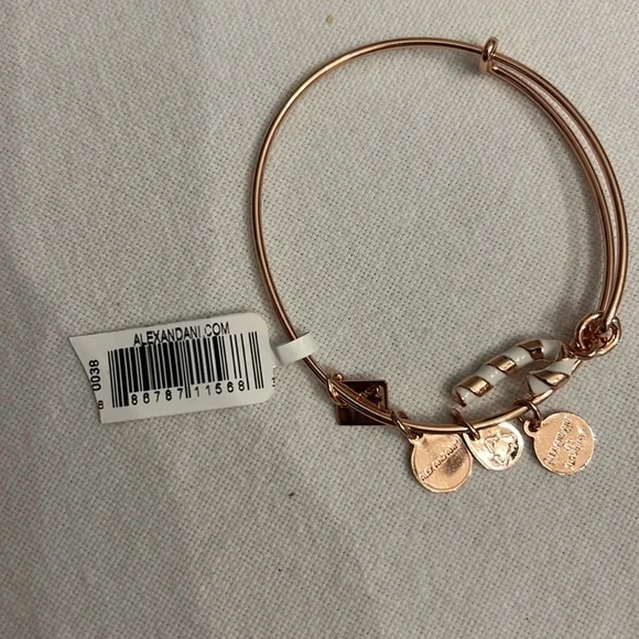 Alex and ani bangle candy cane bracelet - Picture 5 of 8